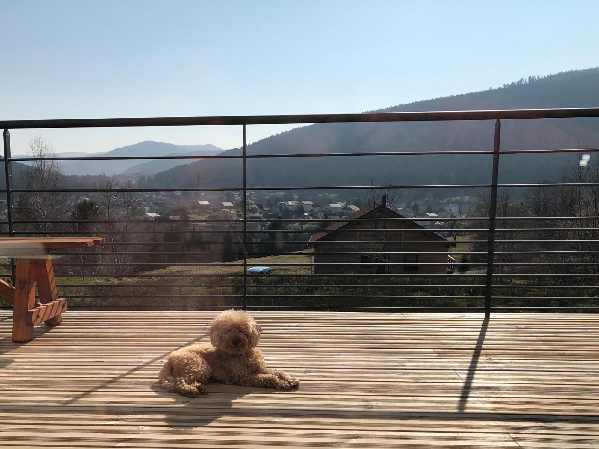 Villa La Renouee à Gérardmer Extérieur photo